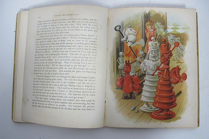 alice and the looking glass book